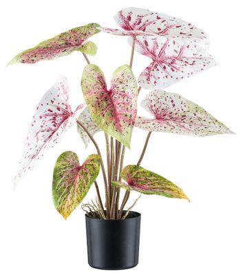 Caladium Miss Muffet 55 cm Kunstpflanze in Hellgrün-Rot im Topf