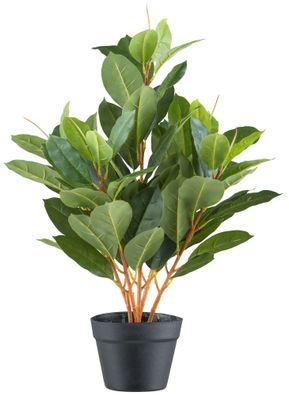 Ficus elastica Kunstpflanze 70 cm mit 76 Blättern im Topf 15x13 cm