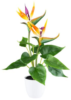Strelitzia Kunstpflanze mit 9 Blättern, 42 cm, weißer Kunststofftopf