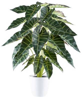 Alocasia Kunstpflanze 68 cm im weißen Melamintopf – täuschend echt decor