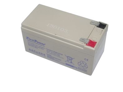 Original Schiller Blei Akku EKG AT1/ SP1/ P80/ AT101/ Argus VCM 12