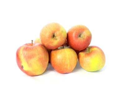 Äpfel Braeburn vom Bodensee süß-säuerlicher Apfel 1-10 KG