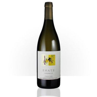 Bodegas Enate 2023 Enate Chardonnay-234 DO 0.75 Liter