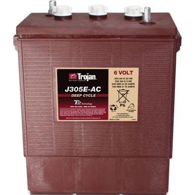 Traktionsbatterie Trojan J305E-AC 6V 305Ah Deep Cycle EUTR-Anschluss