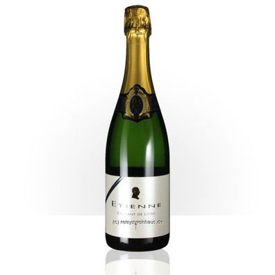 Bouvet-Ladubay Crémant de Loire (Blanc) 'Etienne' AOC 0.75 Liter