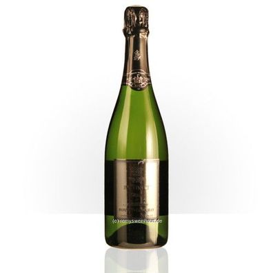 Bouvet-Ladubay 2019 Crémant Saumur 'Instinct' Extra Brut 0.75 Liter