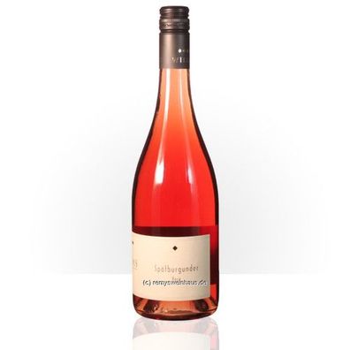 Weingut Willems 2023 Rosé (halbtrocken) Saar Dt. Qualitätswein 0.75 Liter