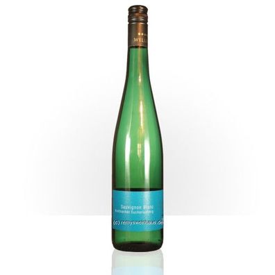 Weingut Willems 2023 Sauvignon Blanc Krettnacher Euchariusberg 0.75 Liter