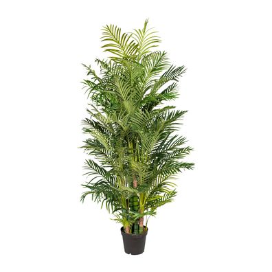 Arecapalme 220 cm – Real Touch Kunstpflanze, pflegeleicht, grün