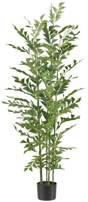 Caryota mitis Palme 150 cm grün im Kunststofftopf, pflegeleicht