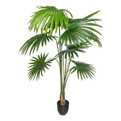 Washingtonia Kunstpflanze 150 cm hoch, 8 Blätter im Schwarztopf