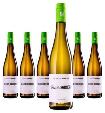 6 x VDP. Weingut Winter Gutswein Grauburgunder trocken – 2024