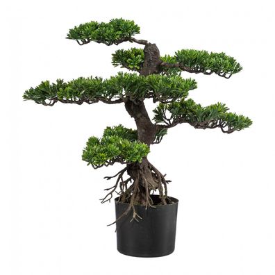 Bonsai Kunstpflanze 65 cm – Pflegeleichte Deko für Zuhause & Büro
