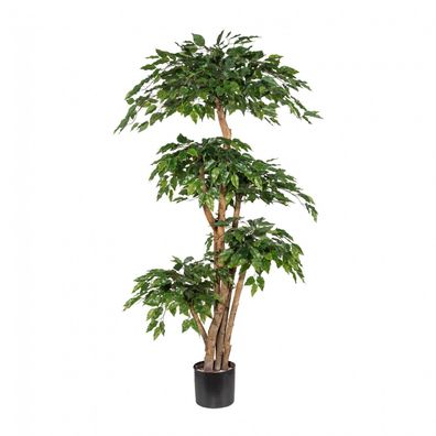 Ficus Benjamini Kunstpflanze 170 cm - Pflegeleicht, 5 Naturstämme