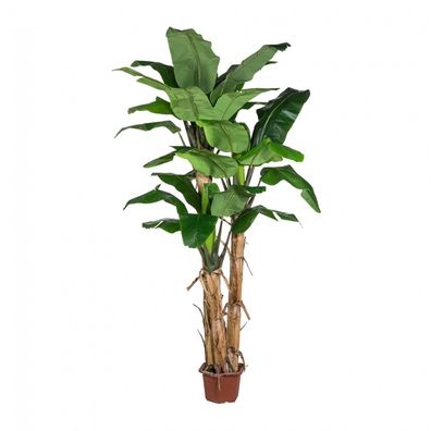Kunstbananenpalme 280 cm - Deckengeelsen Baum mit 3 Stämmen