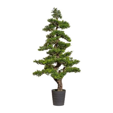 Bonsai Teeblatt 160 cm - Grüne Kunstpflanze im schwarzen Topf