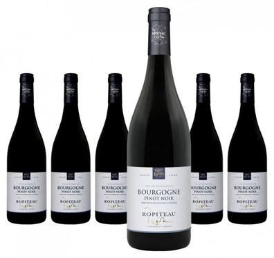 6 x Ropiteau Frères Bourgogne Pinot Noir AOP – 2023