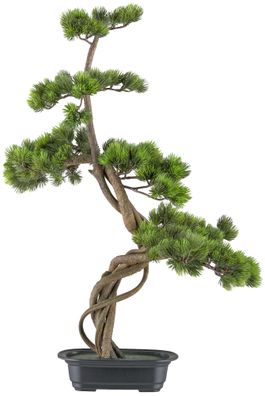 Bonsai Kiefer Kunstpflanze 70 cm in schwarzer Schale 21x15 cm