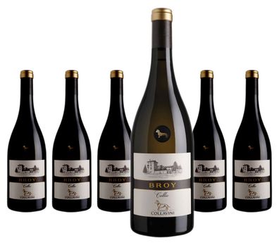 6 x Collavini Broy DOC Collio – 2021