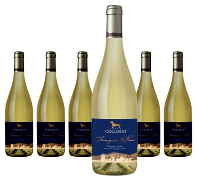 6 x Eugenio Collavini Sauvignon Blanc IGT – 2023