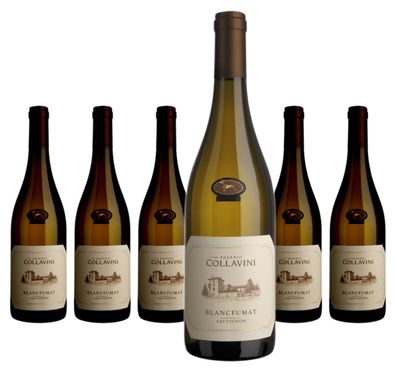 6 x Collavini Sauvignon Blancfumat Collio DOC – 2023