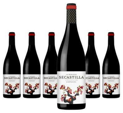 6 x Viñas del Vero La Miranda de Secastilla Garnacha Tinto – 2021