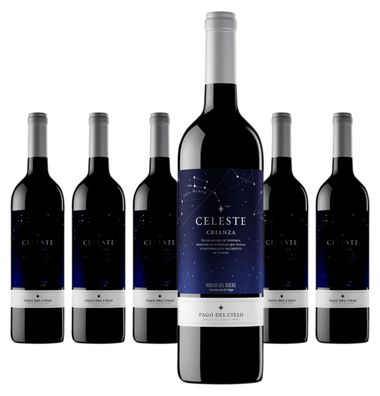 6 x Miguel Torres Celeste Tempranillo – 2021