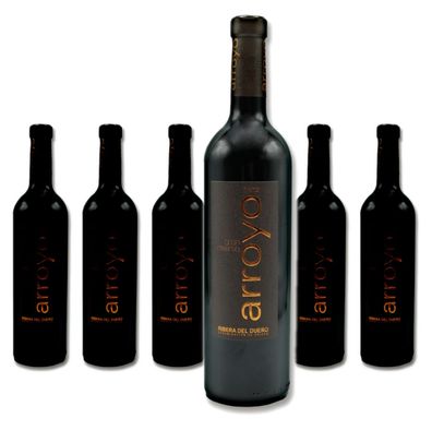 6 x Arroyo Gran Reserva Tinto – 2015