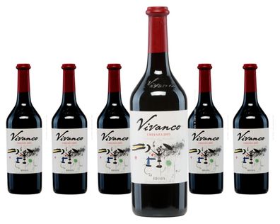 6 x Vivanco Crianza – 2020