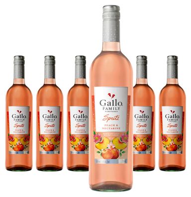 6 x GALLO Gallo FV Spritz Pfirsich Nektarine