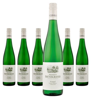 6 x Bründlmayer Grüner Veltliner Kamptal Terrassen – 2023