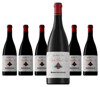 6 x Boschendal Elgin Pinot Noir – 2021