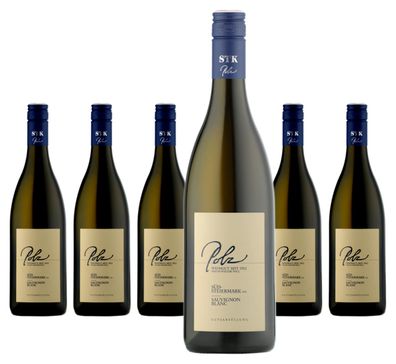 6 x Weingut Erich & Walter Polz Südsteiermark DAC Sauvignon Blanc – 2023