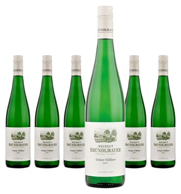 6 x Bründlmayer Grüner Veltliner L&T – 2023