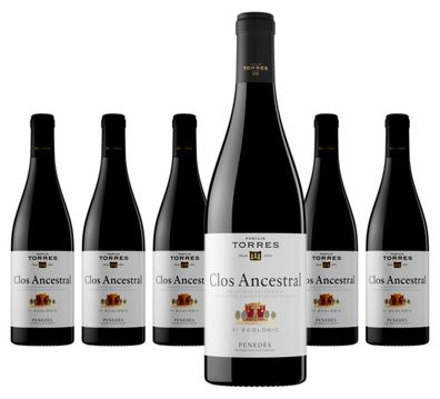 6 x Miguel Torres Clos Ancestral Torres – 2022