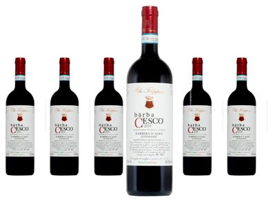 6 x Elio Filippino Bärba Cesco Barbera d' Alba Superiore – 2019