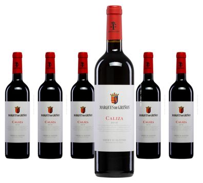 6 x Marqués de Griñón Family Estates Caliza Tinto – 2020