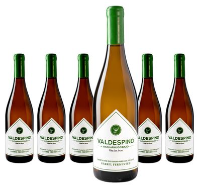 6 x Valdespino Viña Los Arcos Palomino Organic – 2022