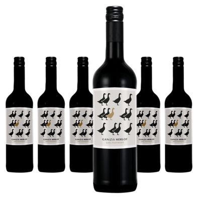 6 x Karl Pfaffmann Gans Merlot – 2023