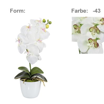 Kunstorchidee Phalaenopsis 40 cm in grün-creme – Pflegeleichte Deko