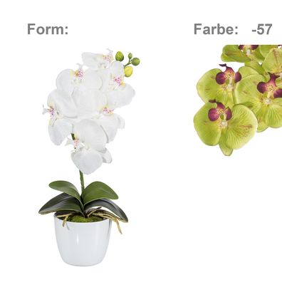 Kunstpflanze Orchidee Phalaenopsis 40 cm grün – pflegeleichte Deko