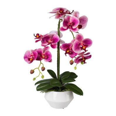 Künstliche Phalaenopsis 52 cm im weißen Keramiktopf – Hochwertige Deko