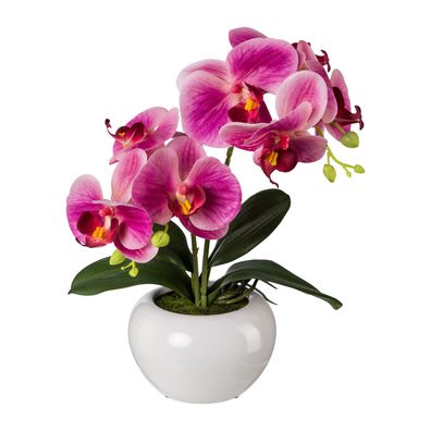 Künstliche Phalaenopsis 35 cm Rentierkeramikschale – Vielfalt für Dekorzüge