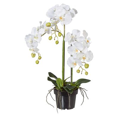 Künstliche Phalaenopsis Orchidee 62 cm - Pflegeleicht & Stilvoll