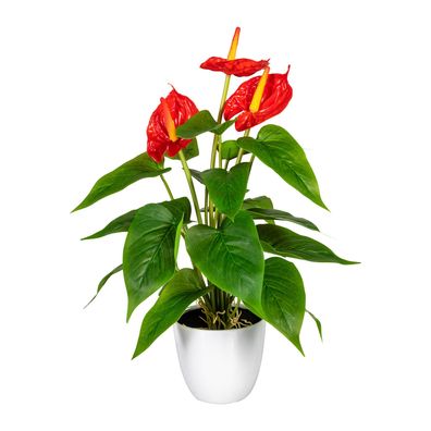 Künstliche Anthurie 40 cm - Elegante Flamingoblume im Topf