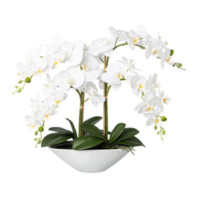 Künstliche Phalaenopsis Orchidee 53 cm in weißer Schale, pflegeleicht