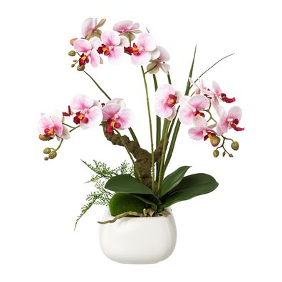 Künstliche Phalaenopsis Orchidee 46 cm im weißen Topf - 2 Farben