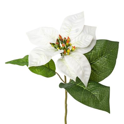 6er Set elegante weiße Weihnachtssterne 35 cm für Wohnzimmerdeko