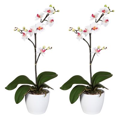2er Set Phalaenopsis Kunstorchideen 55 cm Weiß-Lila Keramiktopf