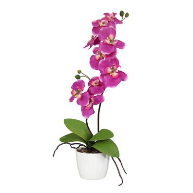 Orchidee Phalaenopsis 60 cm, 9 Blüten, pink im Keramiktopf 13 cm